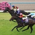 「写真判定」がトレンド入りした天皇賞・春の結果にＳＮＳ興奮「心臓止まる接戦」「ハラハラしてました」