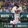 【阪神】中野拓夢、佐藤輝明の打ちっぷりにまさかの「気持ち悪い」自身は心身とも新鮮に再出発