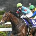 3歳マイル王決定戦・NHKマイルCなど3重賞/今週の競馬界の見どころ