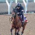 【かしわ記念】鬼門の周回コースを克服できるか…ＪＲＡ王者コスタノヴァ陣営「質の良い稽古ができています」