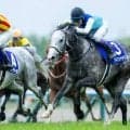 【天皇賞・春】武豊「決めての差」レース後ジョッキーコメント