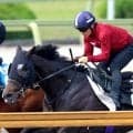 【京都新聞杯・水納の特注馬】５・９億円馬エムズビギンが楽しみ　陣営も「かなりビシビシやっています。ようやく...」と手応え