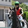 【京都新聞杯見どころ】良血ベレシートが日本ダービーに向けて虎視眈々