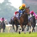 【競走伝】衝撃の５馬身差レコード勝ち！名手・安藤勝己騎手が勝利を確信していたキングカメハメハ降臨　０４年・ＮＨＫマイルＣ