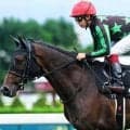 【先週のJRA抹消馬】中央最後のマンハッタンカフェ産駒ダンディズム、地方所属時に重賞2勝のルーンファクターなど