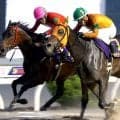 【高知・黒潮皐月賞】こちらも鼻差の大激戦　カツテナイオイシサが差し切って１冠目　岡村卓弥騎手「最後必死だった」