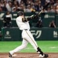 【巨人】泉口友汰、復帰後初打席の初球でいきなり安打　ヤクルト奥川の150キロ直球を左前へ