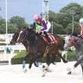 【園田・兵庫大賞典】６番人気フラフが激走！重賞初勝利　１番人気が５着に沈み３連単は１２万７７４０円と高配当に