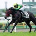 【AI予想・NHKマイルC】今年のファルコンSはハイレベルなレース!? 人工知能が推奨する本命候補3頭とは