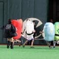 【巨人】すしレースは新加入のイカが15戦目で待望の初勝利　戸郷翔征より一足先に白星