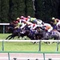 【ＮＨＫマイルＣ】昨年は３連単１５０万円超＆０７年には９７０万円超が飛び出した荒れるレース　狙い馬は？好調馬トク記者が指南！