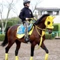 【かしわ記念】ここもキタサンブラック産駒だ！　ウィルソンテソーロの高木調教師「左回りのマイルは良さそう」