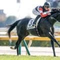 【京都新聞杯展望】好走条件を全て満たすエムズビギンが重賞初制覇へ
