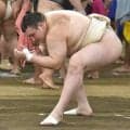 カド番の大関・安青錦、若元春ら相手に８番で５勝３敗「万全ではないが、少しずつ良くなっている」…時津風一門連合稽古