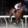 【船橋・かしわ記念注目馬】上半期の地方ダートマイル王決定戦に好メンバー集結