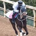 【注目馬動向】オークスに向かうスマートプリエールは引き続き原優介騎手　名古屋ＧＰ勝ちのアウトレンジは帝王賞へ　