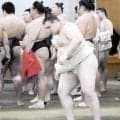 綱とり一転かど番の安青錦「調子を上げていくしかない」左足小指骨折の影響消えず【大相撲】