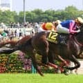 【注目馬動向】プリンシパルＳ勝ちのメイショウハチコウ　引き続きディー騎手で日本ダービー参戦