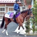 【エプソムＣ】桜花賞馬に復活の気配　ステレンボッシュが転厩２戦目で結果を出すか　陣営「毛づやが良くなった」