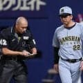 【阪神】連日若手先発KOに藤川監督が厳しく指摘「まだまだアマチュア。レベルに達していない」