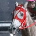 「お前だったのか、オルフェの後継は」「凄い競馬」名古屋競馬の単勝１・２倍、大本命馬のレースぶりにネット騒然　駿蹄賞２着のアストラビアンコ