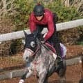 【ＮＨＫマイルＣ】武市調教師「お父さんくらい脚を」０９年Ｖジョーカプチーノの娘　ハッピーエンジェルが父子制覇へ
