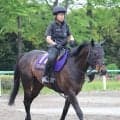 【ＮＨＫマイルＣ】上原佑調教師「健闘できてもいい」　リゾートアイランドは折り合い次第で一発ある