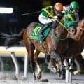【船橋・かしわ記念結果】ウィルソンテソーロが差し切ってJpnI3勝目を挙げる