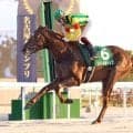 【名古屋競馬・駿蹄賞】リバーサルトップが大金星で１冠目　魂のロングスパート決めた筒井勇介騎手「一生懸命に追いました」