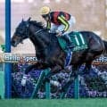 【エプソムC展望】成長著しい4歳馬カラマティアノスが中心