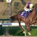 【盛岡・ダイヤモンドC】「これは！」という手応えで差し切りV！フォースメンが重賞初制覇