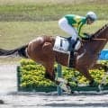 【園田・兵庫CS注目馬】3歳ダート短距離王決定戦 未来のスターホースは潜んでいるか