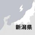 加茂暁星など3校がノーシードから8強　北信越高校野球新潟県大会