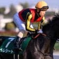 母は名牝クロノジェネシス ベレシートが京都新聞杯で初タイトル狙う
