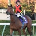 【注目馬動向】レガレイラが宝塚記念で４年連続Ｇ１勝利へ　６日に美浦トレセン帰厩　サンデーサラブレッドクラブ発表
