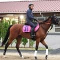 【注目馬動向】スイートピーＳを制したカナルサンマルタンは優先出走権獲得のオークスへは向かわず