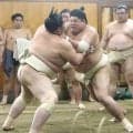 幕内・阿炎が佐渡ケ嶽部屋に出稽古し大関・琴桜らと１０番　４日も横綱・豊昇龍と稽古し「大勝ちして本場所で当たりたい」
