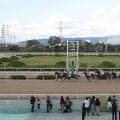 【園田・兵庫チャンピオンシップ速報】サトノボヤージュが差し切って優勝!
