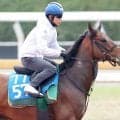 【注目馬動向】ベラジオボンドがしらさぎＳで重賞初制覇目指す　デビットバローズは同レースか函館記念へ
