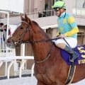 ＢＣクラシック２着など実績馬のデルマソトガケが栗東の牧田厩舎へ転厩