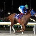 【船橋競馬】ララメテオが東京湾Ｃ制覇　池谷 直樹氏を父に持つ池谷匠翔騎手とともに重賞初制覇