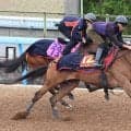 【ヴィクトリアＭ・１週前】Ｇ１馬復活へハードトレを敢行！　チェルヴィニアはコース１周の併せ馬で自己新マーク