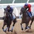 【エプソムＣ】絶好調の津村明秀騎手が「かなりいい動き」と絶賛！　カラマティアノスが馬なりでラスト１１秒２