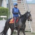 【ヴィクトリアＭ・１週前】オークス馬カムニャックがシャープな伸び　Ｇ１・２勝目へ友道調教師「自分との戦いですね」