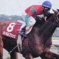 “NHK杯”は競馬にもあった ダービー前哨戦からマイルCへ続く系譜