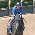 【ヴィクトリアＭ・１週前】厩舎Ｇ１初挑戦アイサンサンが坂路で好調アピール　橋田調教師「躍動感があっていい動き」