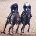 【ヴィクトリアＭ・１週前】超抜の伸び！　牝馬２冠エンブロイダリーが４馬身先着　森一調教師「コントロールも許容範囲」