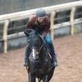 【注目馬動向】毎日杯勝ち馬アルトラムスは日本ダービーへ　皐月賞１８着から巻き返しを狙う