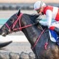 いとこは名馬イクイノックス ショウナンマクベスが待望の復帰戦で3勝目なるか