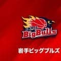 来季「B.ONE」参入の岩手が新体制を発表…ガーリーら8名継続、久岡賢太郎はプロ契約へ